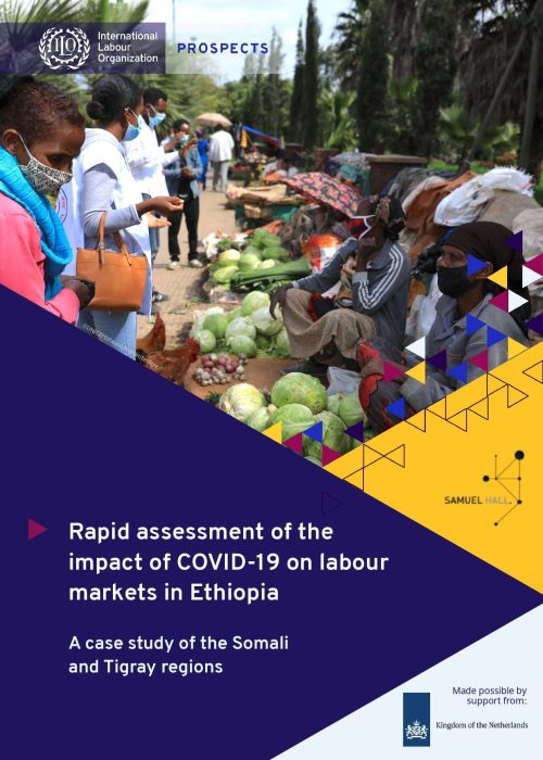 Rapid assessment of the impact of COVID-19 on labour markets in Ethiopia_page-0001